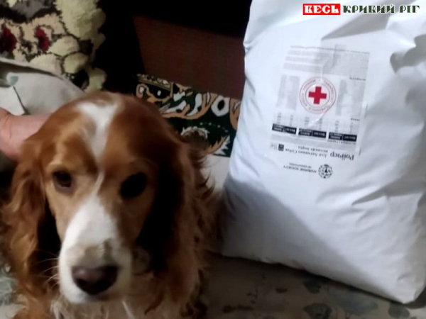 Собачка з кормом від Червоного Хреста в Кривому Розі