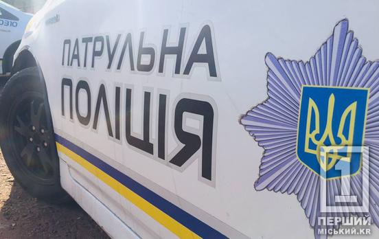 Влетів у стовп і хотів уникнути відповідальності: у Кривому Розі чоловік обманув поліцію щодо свого авто
