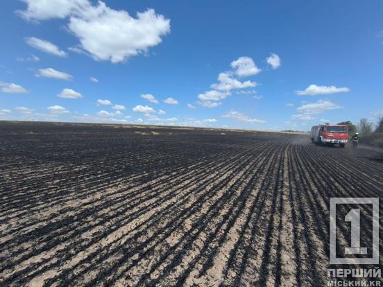 Золоті поля у диму й вогні: на Криворіжжі масштабна пожежа1