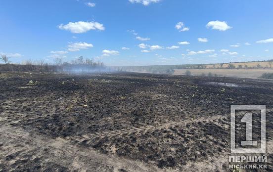 Золоті поля у диму й вогні: на Криворіжжі масштабна пожежа