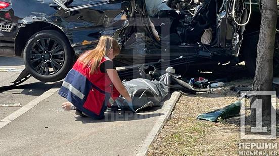 Авто «намотало» на стовп разом із водієм: у жахливій автотрощі на Дніпровському шосе загинув 22-річний юнак4