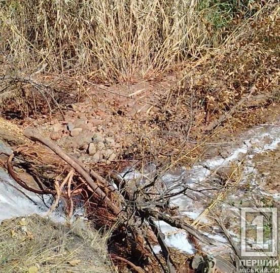 Брудна вода лилася потоком: у Кривому Розі  до р. Саксагань потрапляли шахтні стоки1