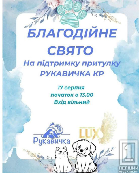 Добро, яке об’єднує: у Кривому Розі влаштували благодійний аукціон на підтримку притулку для тварин2