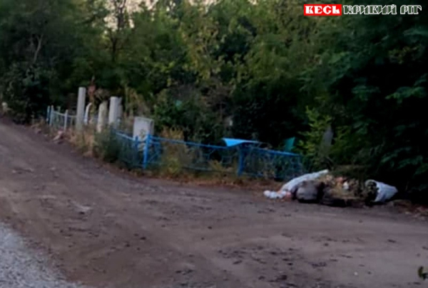 Алея Центрального кладовища в Кривому Розі