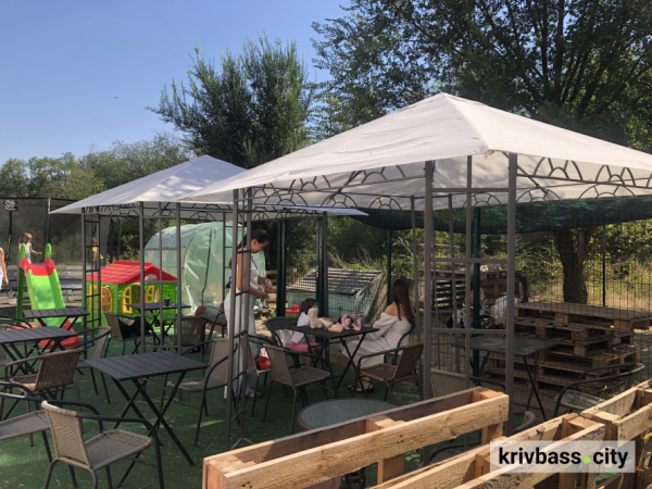Коли мрія стає бізнесом: історія Оксани Корнух, Reset Cafe і справжніх кіз3
