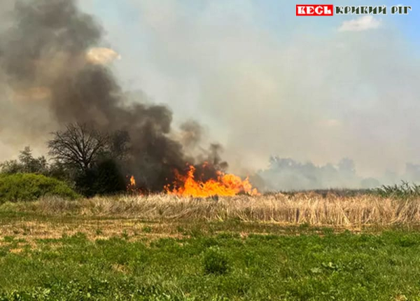 Пожежа в екосистемі на Дніпропетровщині