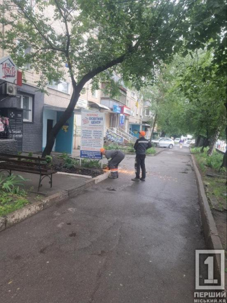 «Мінус» понад 300 реклам: вулиці Кривого Рогу стали чистішими від початку року8