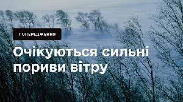 Можливі сильні пориви вітру: в області оголошено штормове попередження0