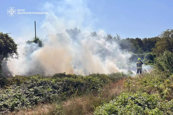 На Дніпропетровщині протягом минулої доби ліквідовано 20 пожеж в екосистемах1