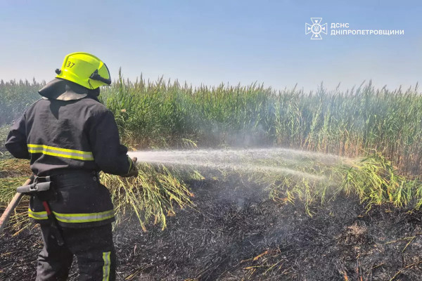 На Дніпропетровщині протягом минулої доби ліквідовано 20 пожеж в екосистемах0