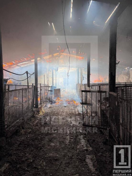 На Криворіжжі чоловік з ножем поранив п’ятьох людей і підпалив хлів: зупинити його зміг лише постріл поліцейського1