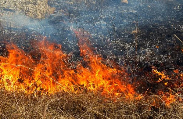 На Криворіжжі  у вигорілій траві знайшли тіло літньої жінки0
