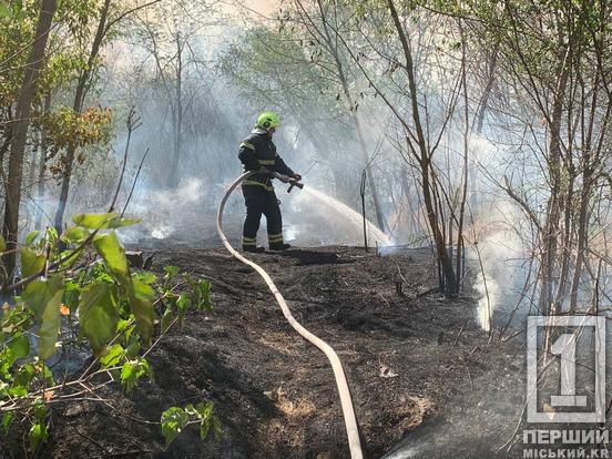 Окружна у вогні та диму: у Кривому Розі горів сухостій4