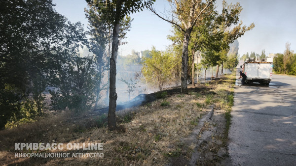 У Кривому Розі загорівся очерет і суха трава поблизу мікрорайону Східний-11