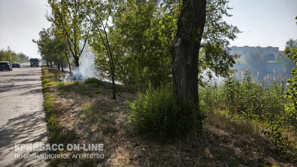 У Кривому Розі загорівся очерет і суха трава поблизу мікрорайону Східний-14