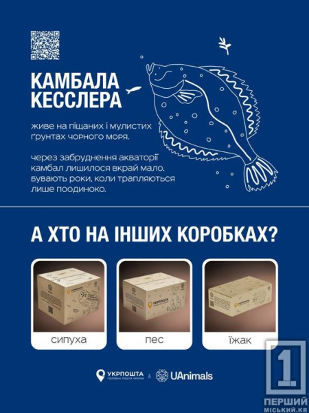 «Укрпошта» та UAnimals рятують беззахисних: на поштових коробках зображуватимуть тварин, що постраждали від війни, та корисні QR-коди1
