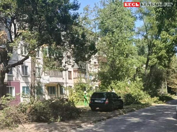 Омолодження дерев на Даманському в Кривому Розі