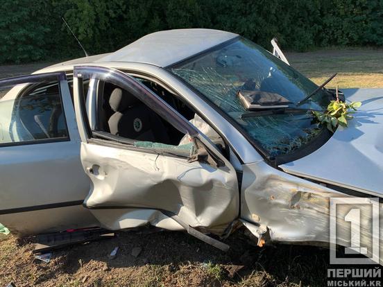 Водій загинув на місці ДТП: на Дніпровському шосе Skoda зіштовхнулася зі стовпом2