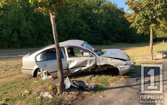 Водій загинув на місці ДТП: на Дніпровському шосе Skoda зіштовхнулася зі стовпом