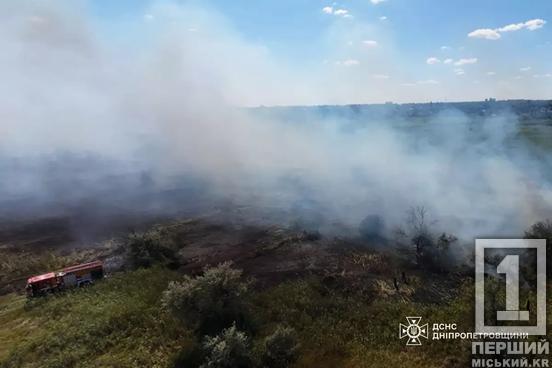 Вогняна доба на Дніпропетровщині: пожежі знищили понад 55 гектарів екосистем1
