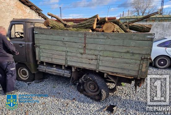 Їх «кришував» поліцейський: на Дніпропетровщині викрили ОЗГ «чорних» лісорубів2