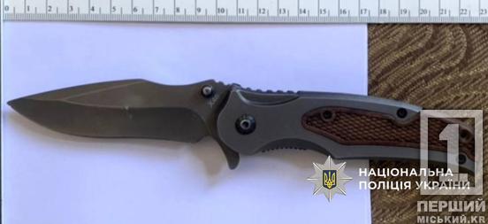 Чекав настання темряви: на Дніпропетровщині затримали ґвалтівника 18-річної дівчини2
