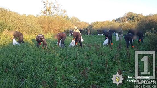 Кримінальний «сімейний підряд»: подружжя з Кривого Рогу викрили у мільйонному наркобізнесі1