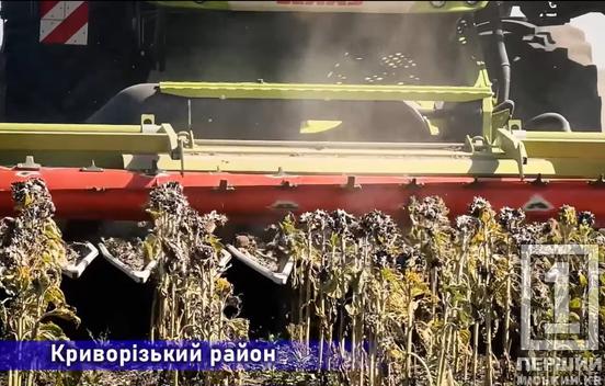 Криворізький район увійшов в число тих, хто забезпечив левову частку врожаю в області1