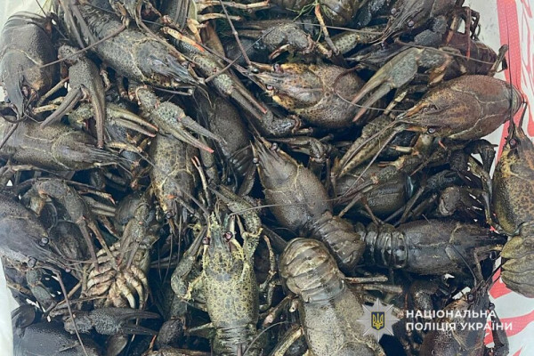 На Дніпропетровщині браконьєр наловив риби і раків на 600 тисяч гривень0