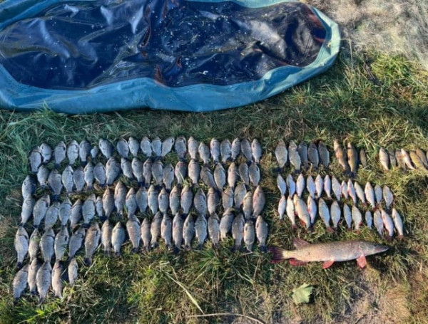 На Дніпропетровщині браконьєр виловив риби на чверть мільйона гривень0