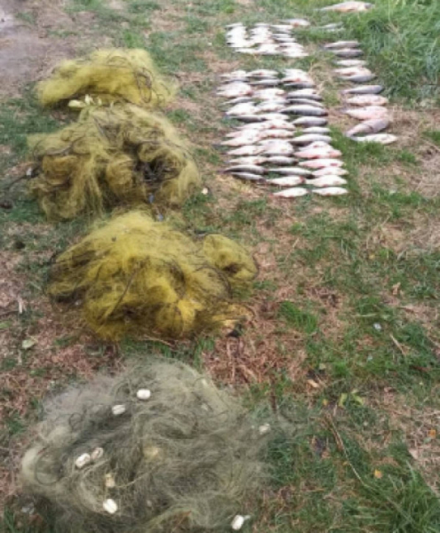 На Карачунівському водосховищі спіймали браконьєра0