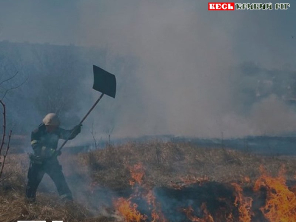 Гасіння пожежі в екосистемі на Дніпропетровщині