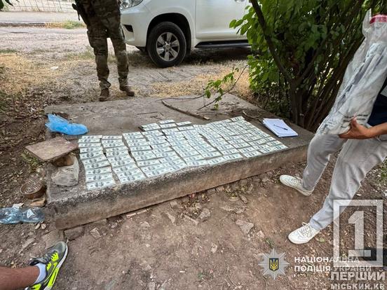 17 тис доларів коштував «омріяний» папірчик: у Кривому Розі судитимуть торговця довідками від служби1