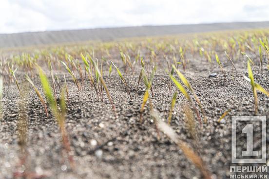 ЦГЗК Метінвесту цьогоріч збільшив обсяги застосування зелених технологій1