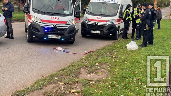 Дитину врятувати не вдалося: на вулиці Волонтерів у Кривому Розі сталася смертельна ДТП2