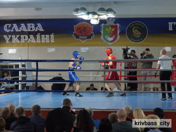Маленькі чемпіони великого міста: у Кривому Розі юні боксери виборювали «Кубок Вікінгів»2