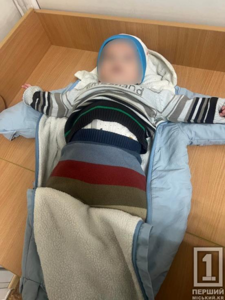 Навертаються сльози від жаху: у Кривому Розі через загрозу життю та здоров’ю з родини вилучили немовля4