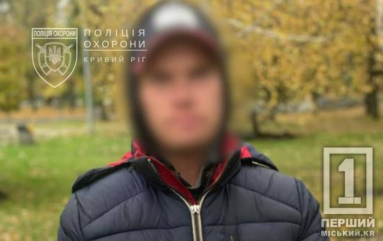 Підсунув «липу»: у Кривому Розі поліцейські охорони затримали чоловіка з фальшивими документами