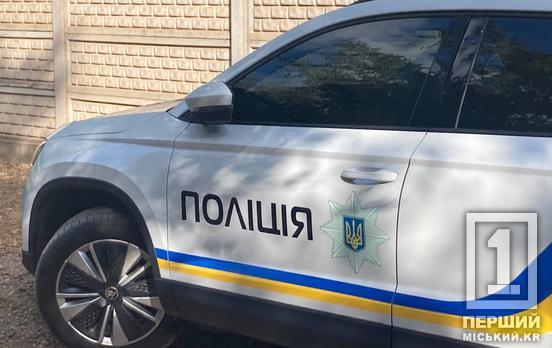 Поцілив людині у голову цеглиною: у Кривому Розі поліція затримала 37-річного чоловіка