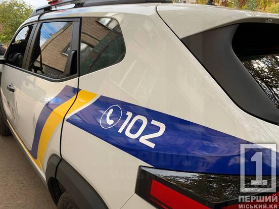 Походжав краєм і розмахував палицею : у Кривому Розі ліній чоловік впав з даху багатоповерхівки1