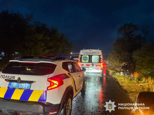 Поліція розшукує свідків смертельної ДТП поблизу села Зелений Яр2