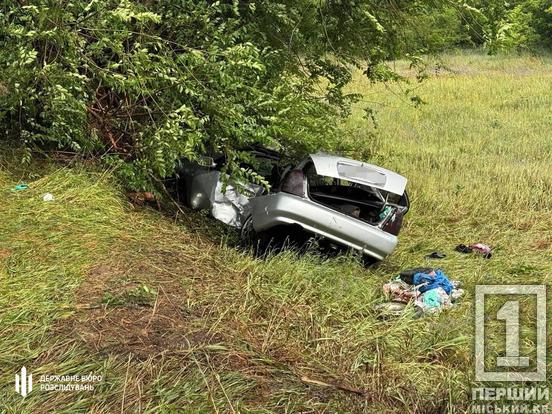 Роковий удар в дерево для двох пасажирів: на Дніпропетровщині військовий може сісти на 12 років через смертельну ДТП1