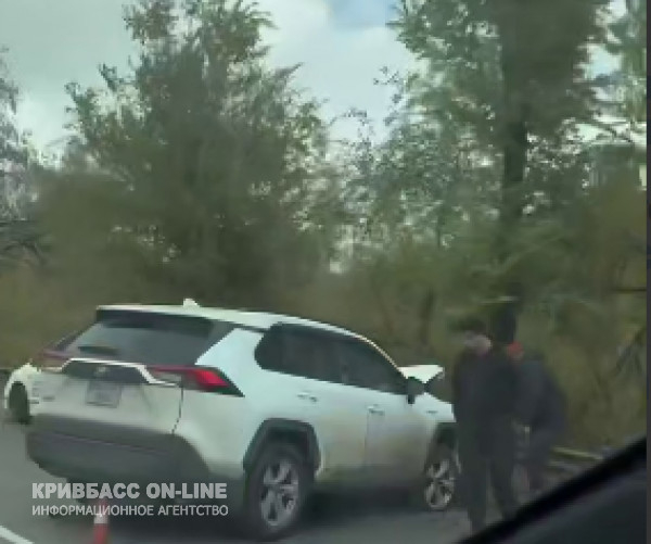У Кривому Розі легковий автомобіль врізався в дерево1