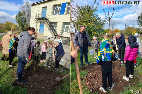 Волонтери з Німеччини садять саджанці зі школярами в Глеюватській громаді Криворізького р-ну