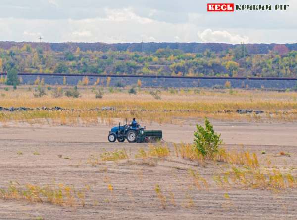 Озиме жито засівають на хвостосховищі ЦГЗК в Кривому Розі