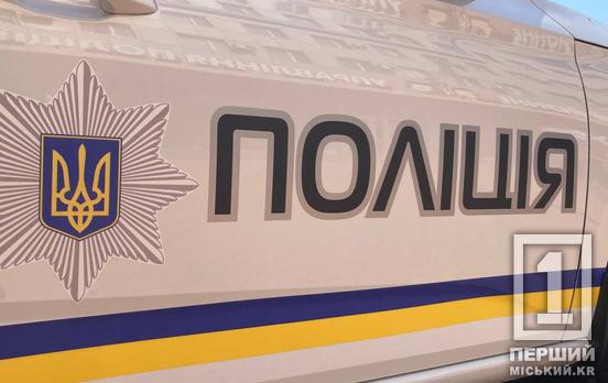 Екіпаж приїхав на розбірки у родині: у Криворізькому районі чоловік підняв руку на поліцейського