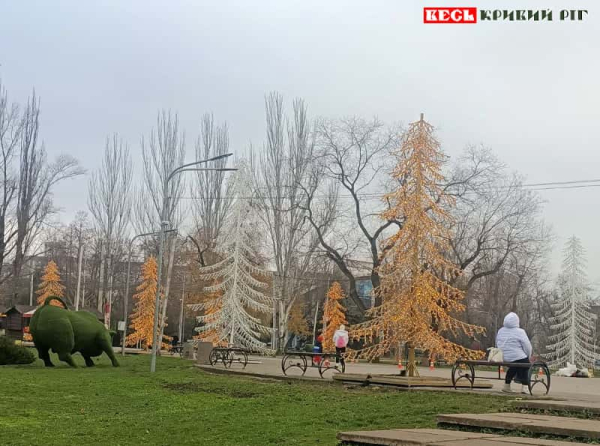 Золотисті ялинки встановлено в Новорічному містечку в парку Героїв в Кривому Розі