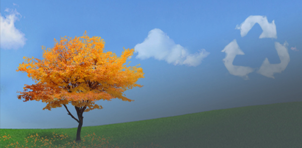 Екологічнй проєкти - фото пресслужби Дніпропетровської ОВА