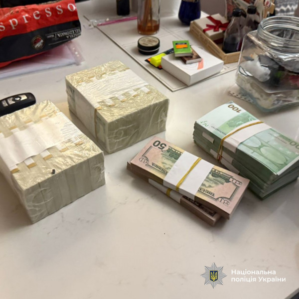 На Дніпропетровщині затримали посадовицю екологічної інспекції через незаконне збагачення3