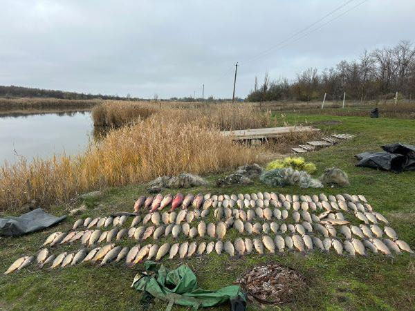 На Криворіжжі браконьєри завдали збитків природі на понад пів мільйона гривень0